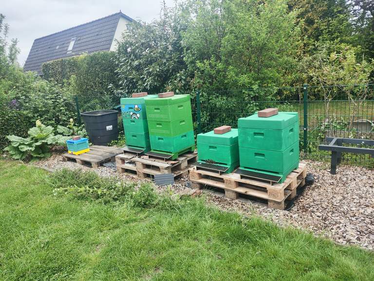Bienenstöcke auf Paletten im Garten der Imkerei